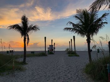 Palm trees on beach against sky during sunset