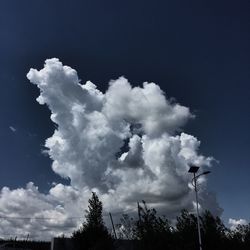 Low angle view of trees against cloudy sky