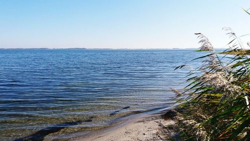 Scenic view of sea against clear sky