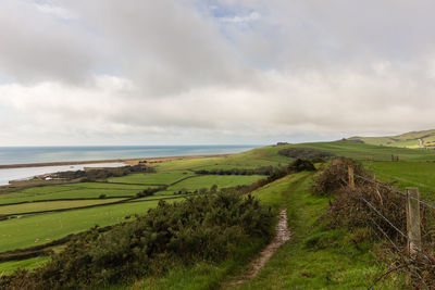 Scenic view of grassy field against sky