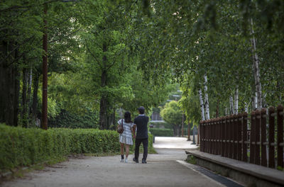 Rear view of couple walking on footpath amidst trees at park