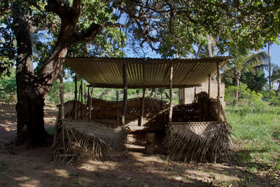 Built structure against trees in forest