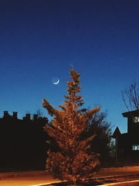 Illuminated tree against blue sky at night