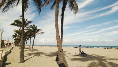 Palm trees on beach