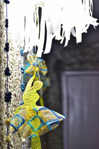 Close-up of butterfly hanging on wall