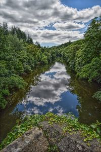 Scenic view of trees against sky