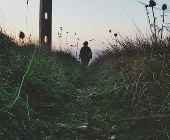 Rear view of silhouette man walking on grass against sky