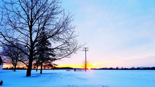 Bare trees on snow covered landscape