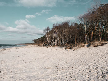 Scenic view of beach against sky