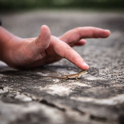 Close-up of person hand on stones