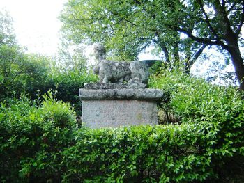 Low angle view of sculpture against trees