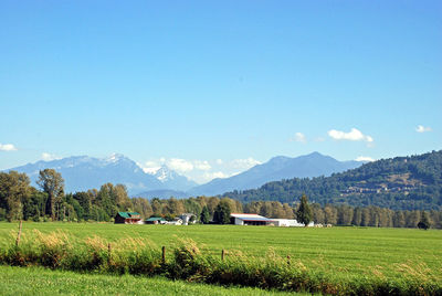 Scenic view of agricultural landscape against blue sky