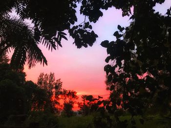 Low angle view of silhouette trees against sky during sunset