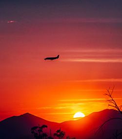 Silhouette bird flying over mountain against orange sky