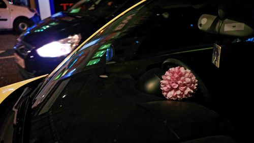 Close-up of pink roses on car windshield at night