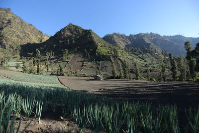 Scenic view of mountains against clear sky