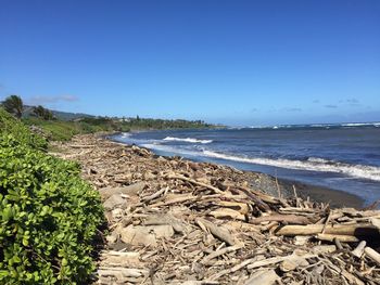 Scenic view of beach against clear blue sky