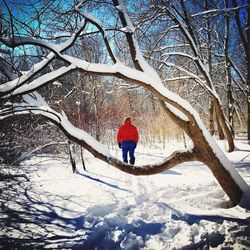 Full length of person standing on snow covered landscape