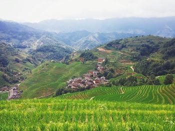 Scenic view of landscape against sky