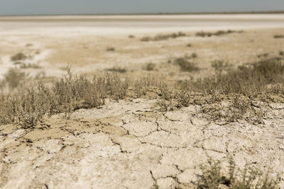 Surface level of land against sky