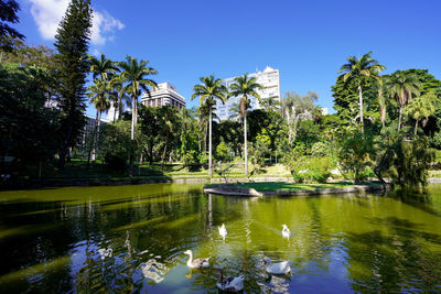 Municipal parque americo renne giannetti, a city park in belo horizonte, minas gerais, brazil