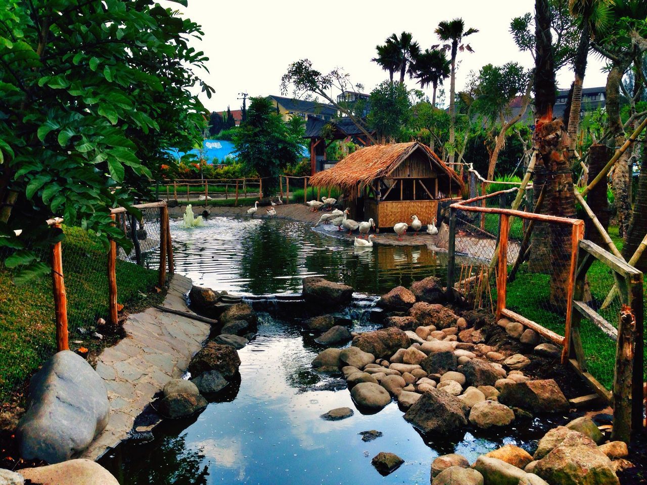 water, built structure, tree, architecture, building exterior, reflection, house, canal, stream, rock - object, tranquility, stone - object, nature, sky, plant, river, day, outdoors, tranquil scene, no people