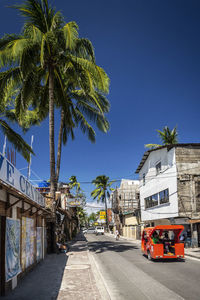 Road by palm trees and buildings against blue sky