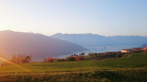 Scenic view of field against clear sky during sunset