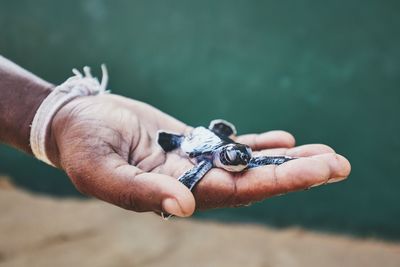 Close-up of man holding hands