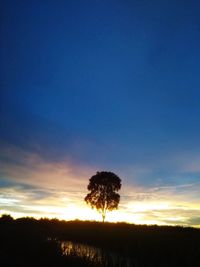 Silhouette trees on field against sky during sunset