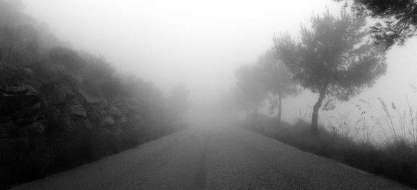 Empty road amidst trees during foggy weather