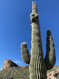 Up close with this giant saguaro. what a sight it was. 