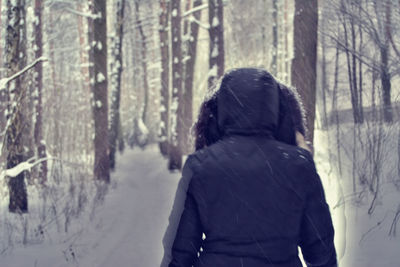Bare trees in forest