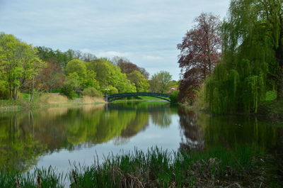 Scenic view of lake by trees against sky