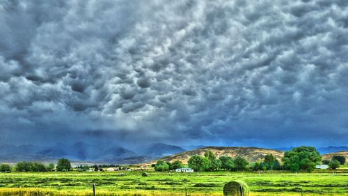 Scenic view of agricultural field against sky