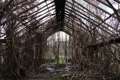 Built structure with trees in background