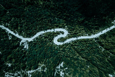 High angle view of snake on mountain