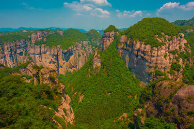 Scenic view of trees on mountain