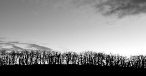 Silhouette trees on field against sky