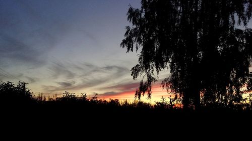 Silhouette trees on landscape against sky at sunset
