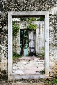 Entrance of abandoned building