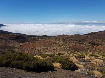 Scenic view of landscape against sky
