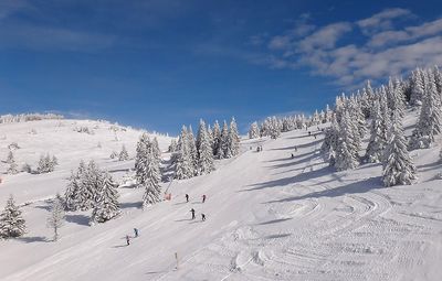 Snowy landscape with ski slopes in ski center