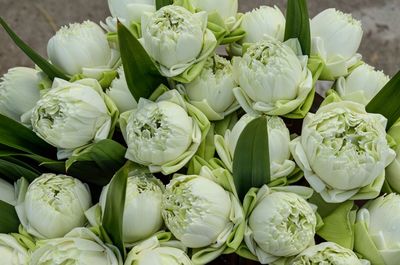 High angle view of white flowers for sale in market