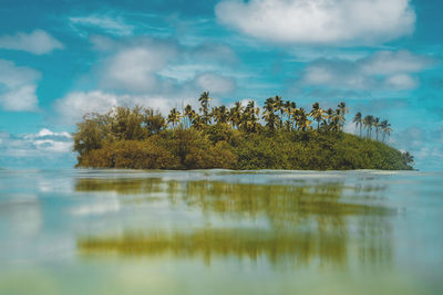 Scenic view of lake by trees against sky