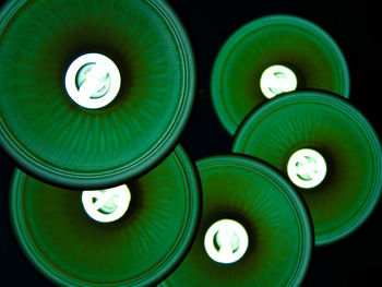 Directly above shot of abstract circles 