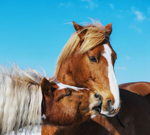 Kissing you a great day 