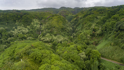 Scenic view of green mountains against sky