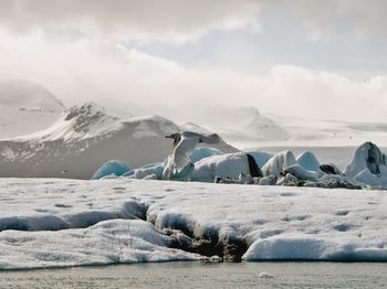 Scenic view of snowcapped landscape and bird on foreground