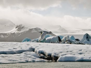 Scenic view of snowcapped landscape and bird on foreground